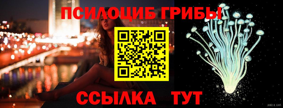 Псилоцибиновые грибы Cubensis  Вход с VPN  Бор 